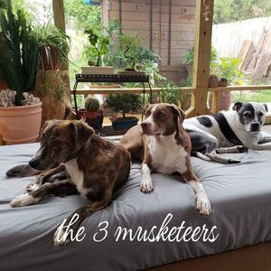 Meet your Posher, Emese